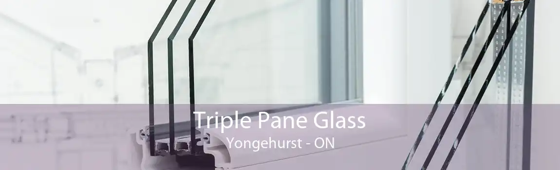 Triple Pane Glass Yongehurst - ON