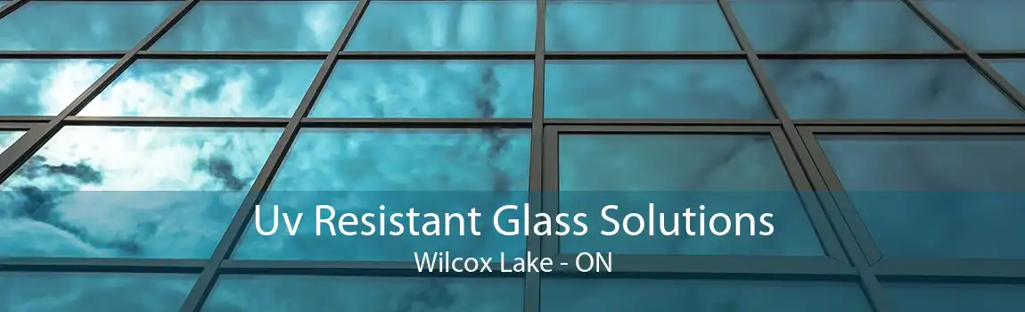 Uv Resistant Glass Solutions Wilcox Lake - ON
