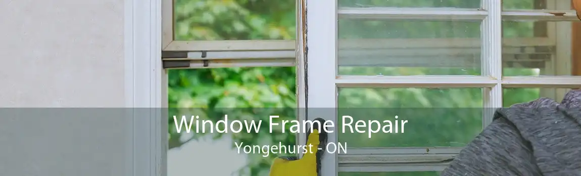 Window Frame Repair Yongehurst - ON