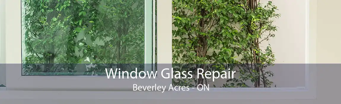 Window Glass Repair Beverley Acres - ON