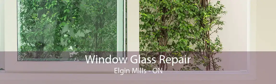 Window Glass Repair Elgin Mills - ON