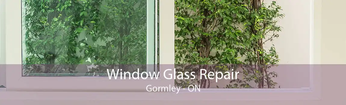 Window Glass Repair Gormley - ON