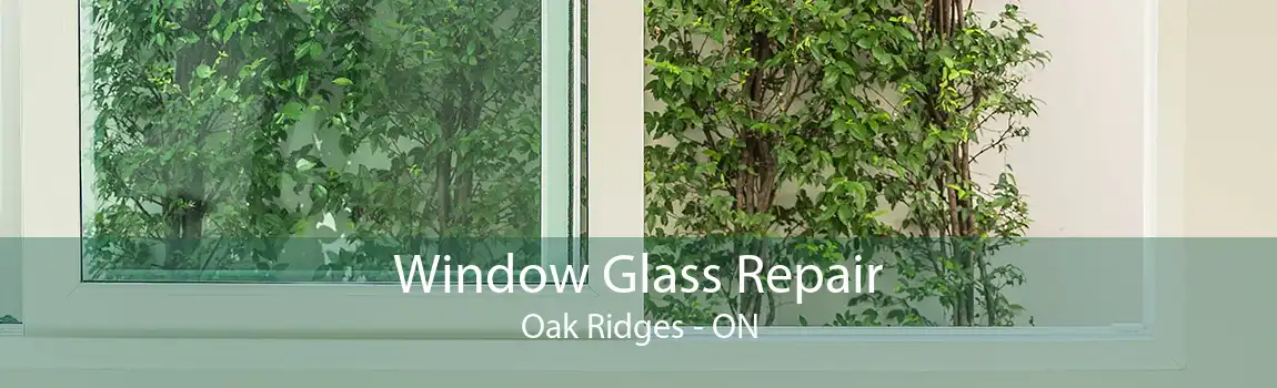 Window Glass Repair Oak Ridges - ON