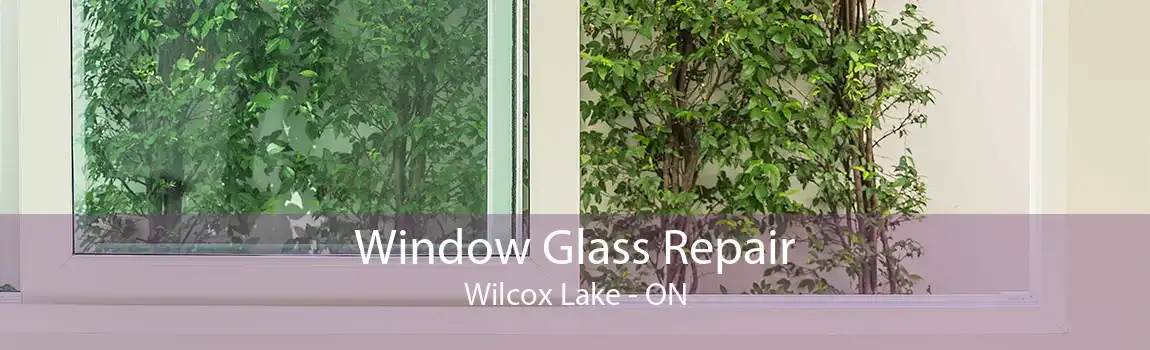 Window Glass Repair Wilcox Lake - ON