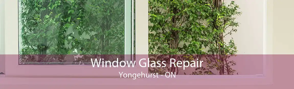 Window Glass Repair Yongehurst - ON