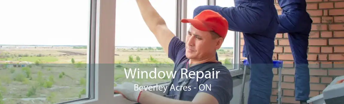 Window Repair Beverley Acres - ON