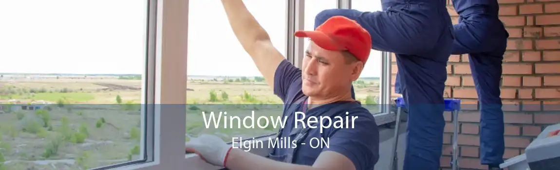 Window Repair Elgin Mills - ON