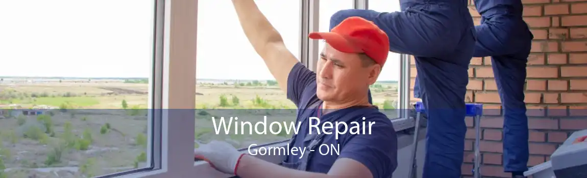 Window Repair Gormley - ON