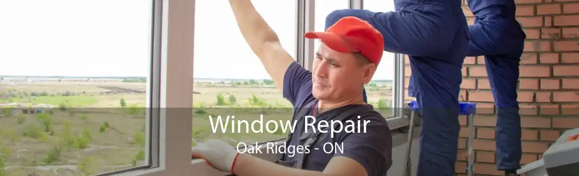 Window Repair Oak Ridges - ON