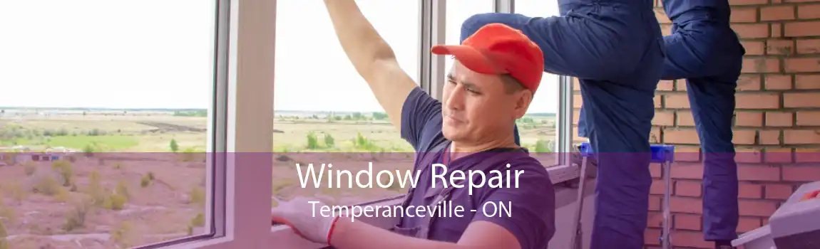 Window Repair Temperanceville - ON