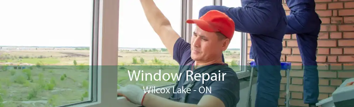 Window Repair Wilcox Lake - ON