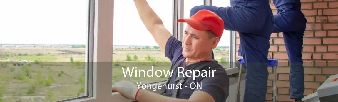 Window Repair Yongehurst - ON