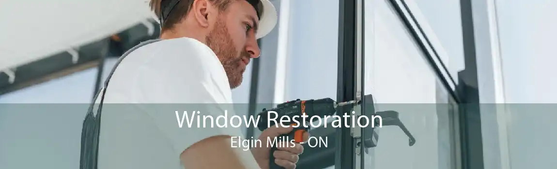 Window Restoration Elgin Mills - ON