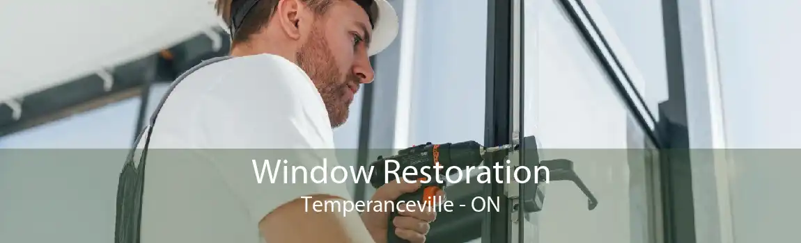 Window Restoration Temperanceville - ON
