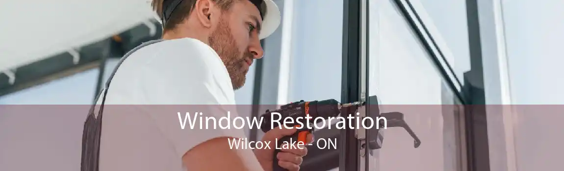 Window Restoration Wilcox Lake - ON