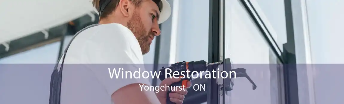 Window Restoration Yongehurst - ON