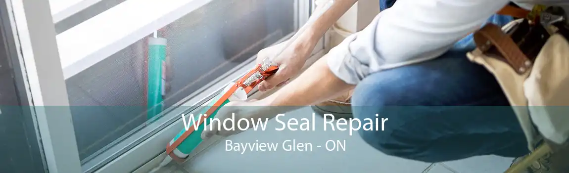 Window Seal Repair Bayview Glen - ON