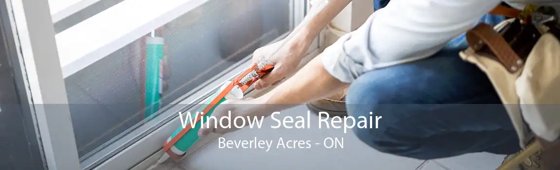 Window Seal Repair Beverley Acres - ON