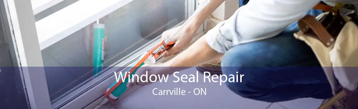 Window Seal Repair Carrville - ON