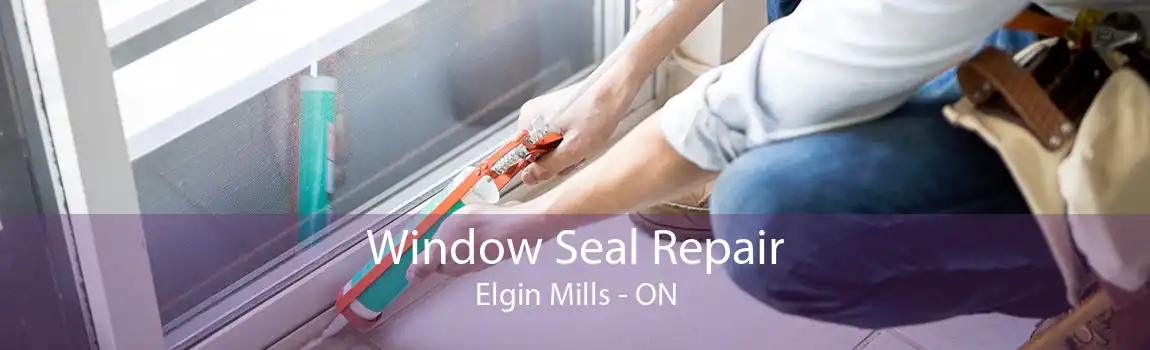Window Seal Repair Elgin Mills - ON