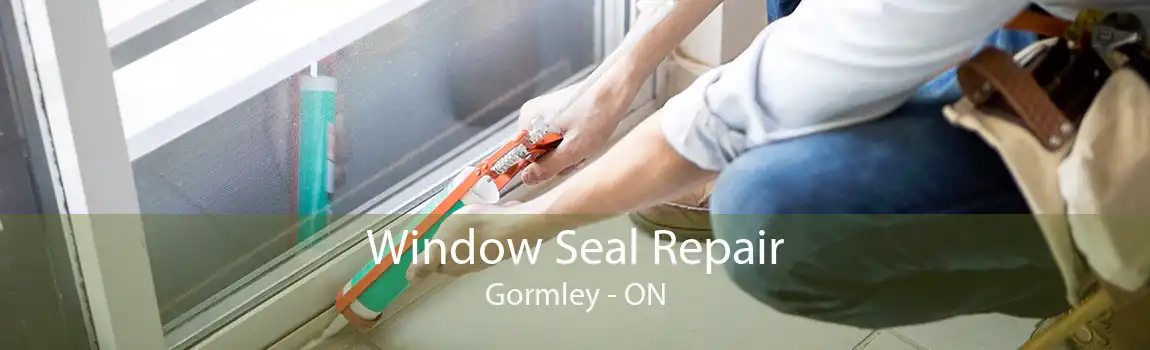Window Seal Repair Gormley - ON