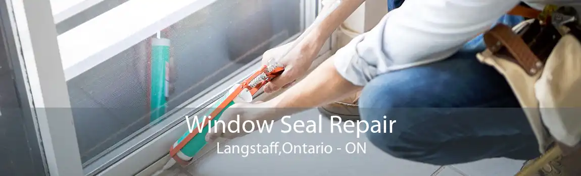 Window Seal Repair Langstaff,Ontario - ON