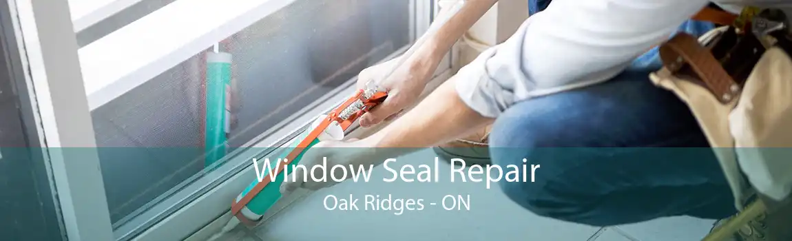 Window Seal Repair Oak Ridges - ON