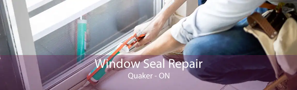 Window Seal Repair Quaker - ON
