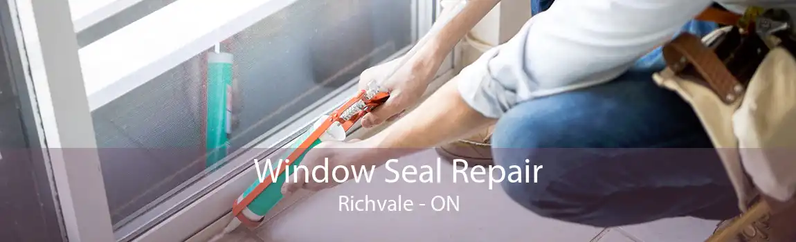 Window Seal Repair Richvale - ON
