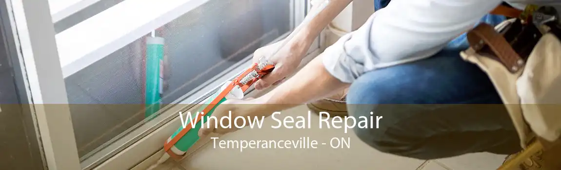 Window Seal Repair Temperanceville - ON